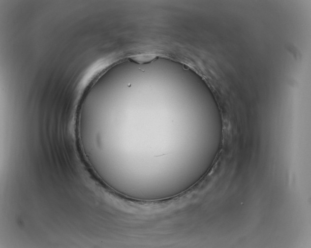 X0000113870006200910081736