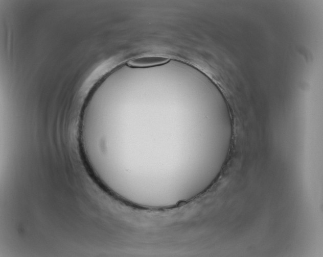 X0000113870007200910081736