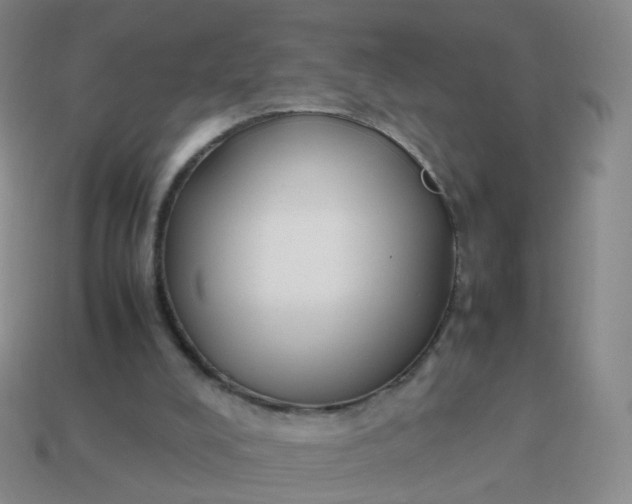 X0000113870008200910081736