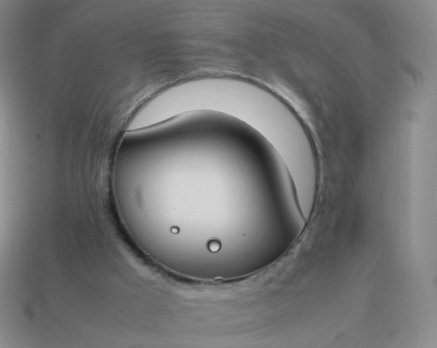 X0000113870009200910081736