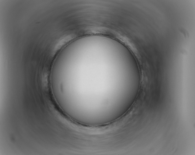 X0000113870010200910081736