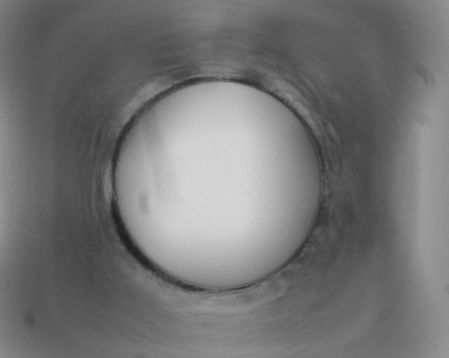 X0000113870011200910081736