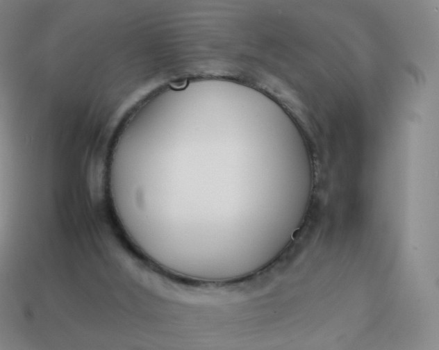 X0000113870012200910081736