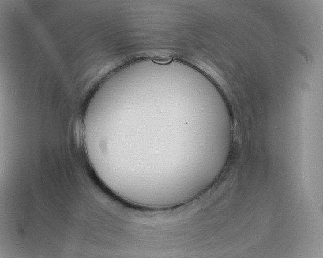 X0000113870013200910081736