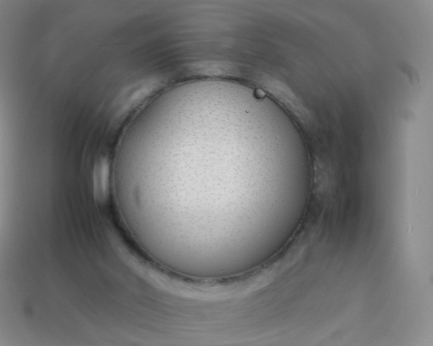 X0000113870014200910081736