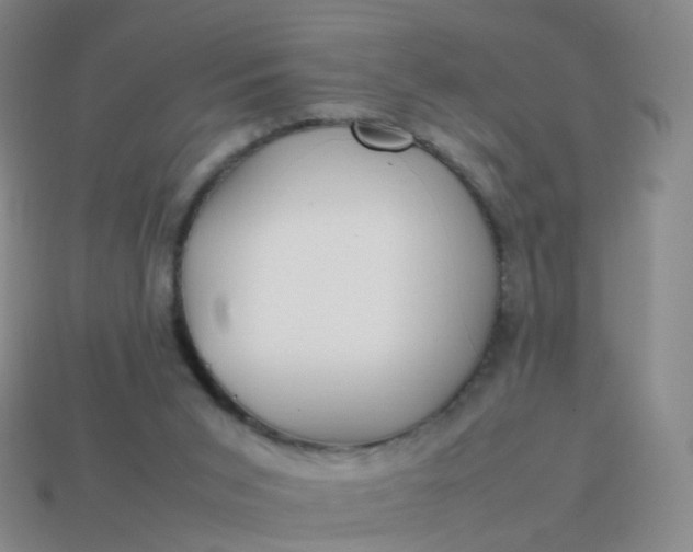 X0000113870015200910081736