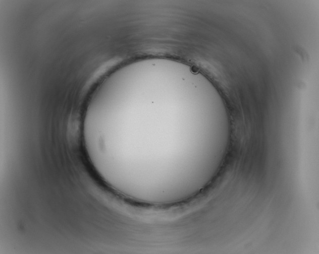 X0000113870016200910081736