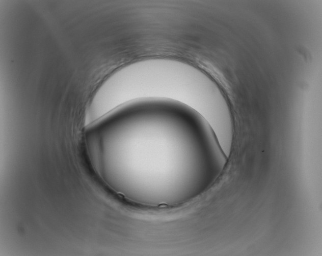 X0000113870017200910081736