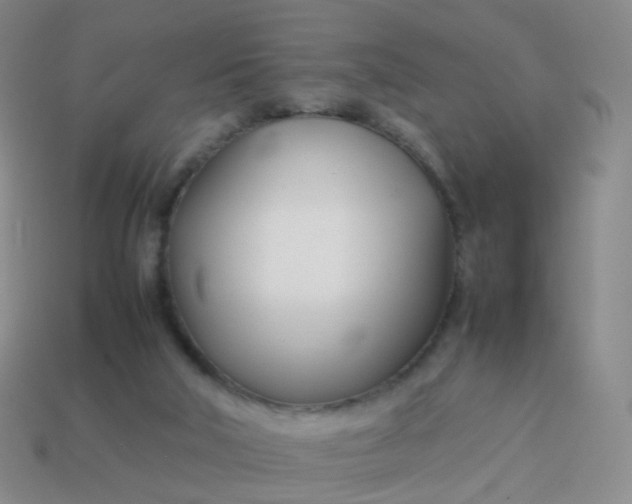 X0000113870018200910081736