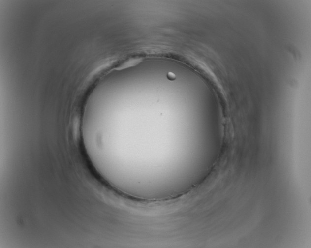 X0000113870019200910081736