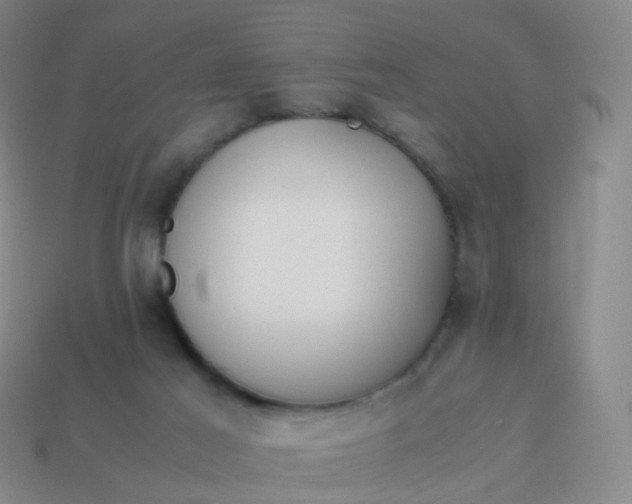 X0000113870021200910081736