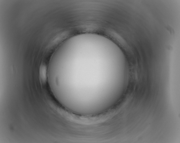 X0000113870022200910081736