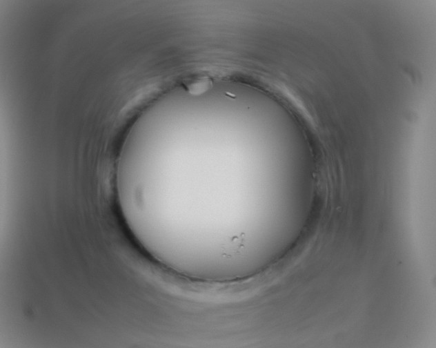 X0000113870023200910081736