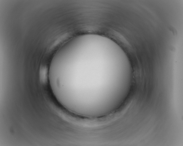 X0000113870024200910081736