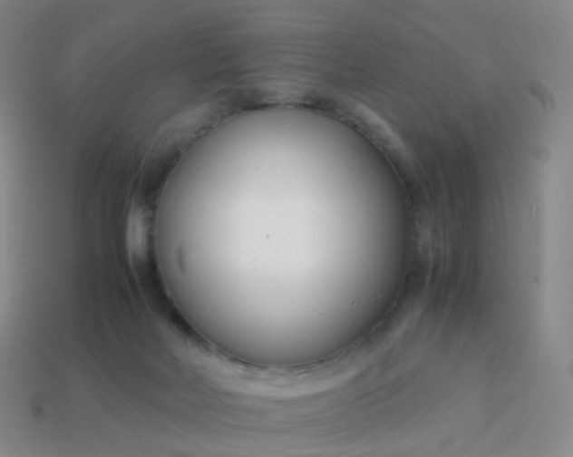 X0000113870026200910081736