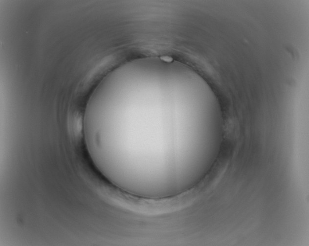 X0000113870027200910081736