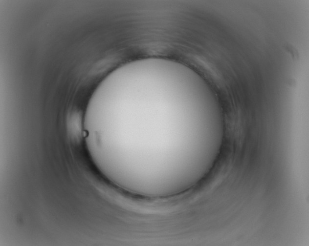 X0000113870028200910081736