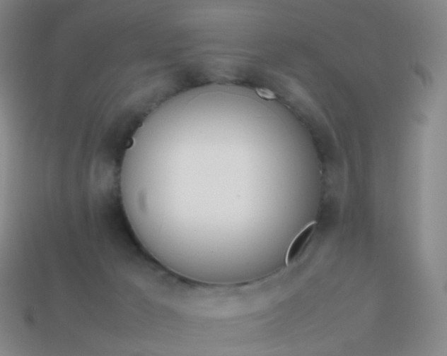 X0000113870029200910081735