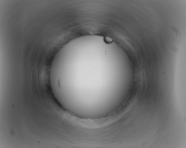 X0000113870030200910081735