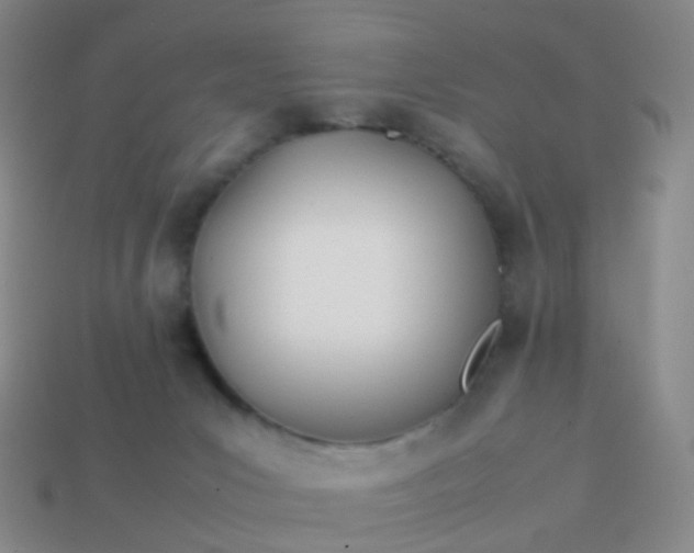 X0000113870031200910081735