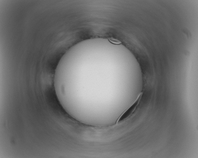 X0000113870033200910081735