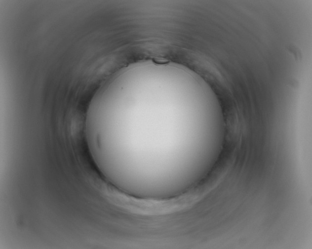 X0000113870034200910081735