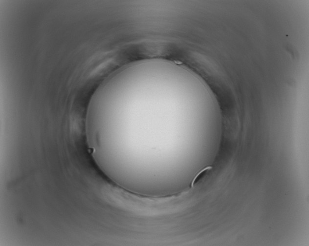 X0000113870035200910081735