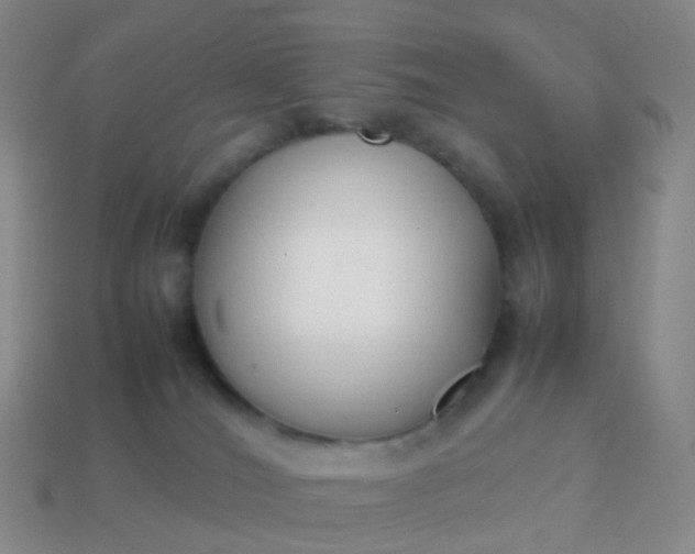 X0000113870036200910081735