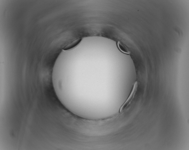 X0000113870037200910081735