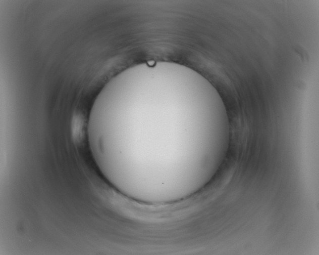 X0000113870038200910081735