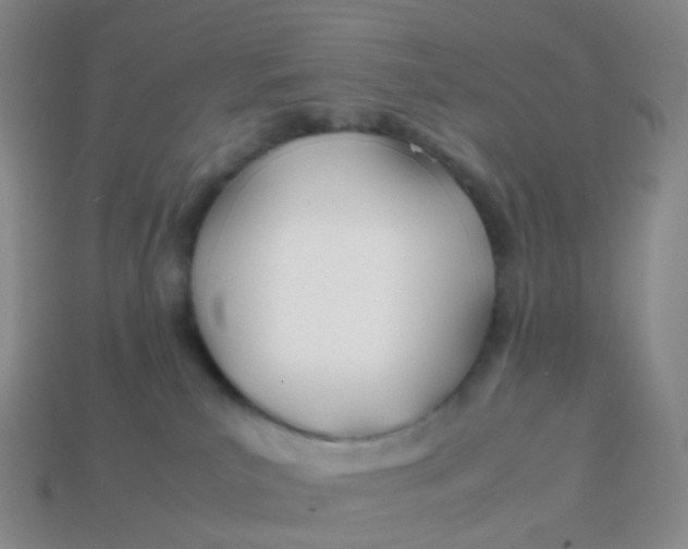 X0000113870039200910081735