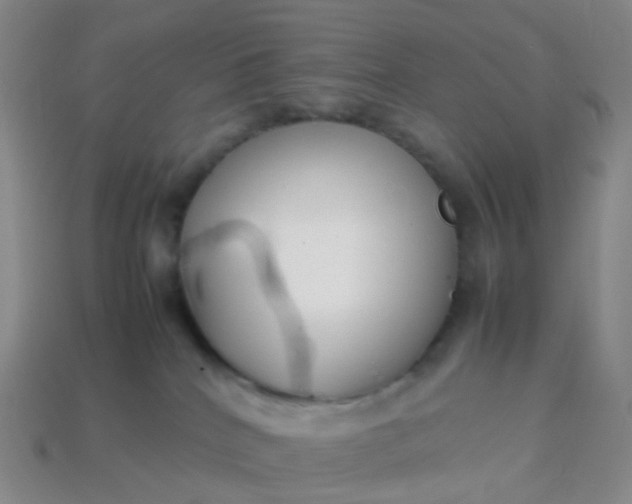 X0000113870040200910081735