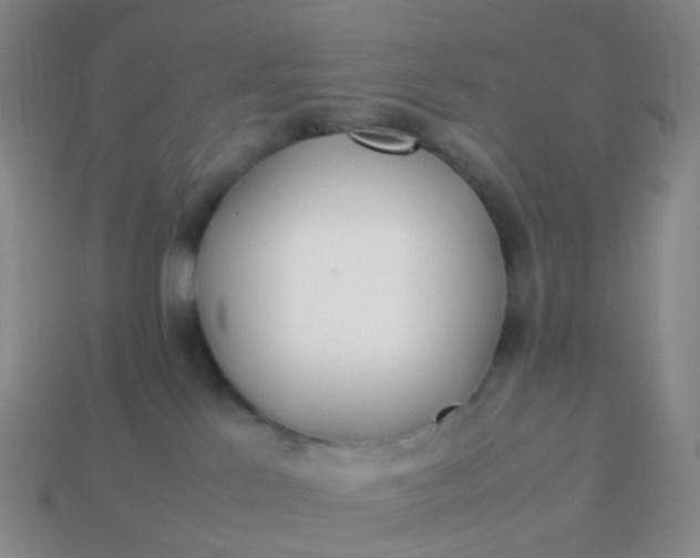 X0000113870041200910081735