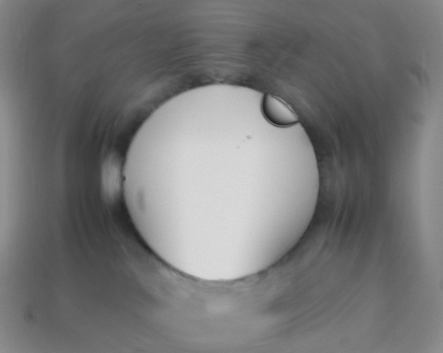 X0000113870042200910081735