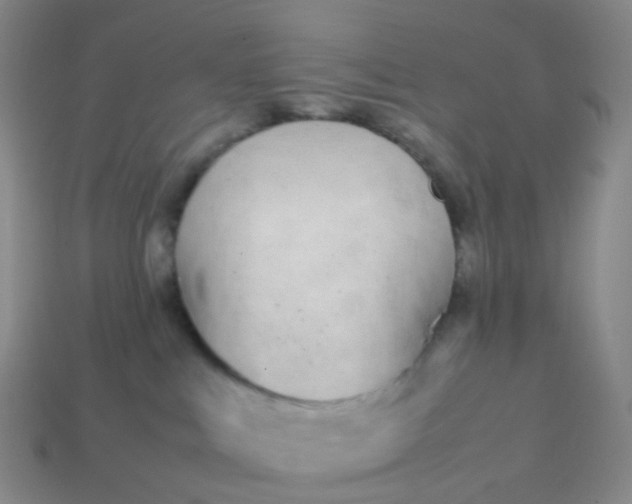 X0000113870043200910081735