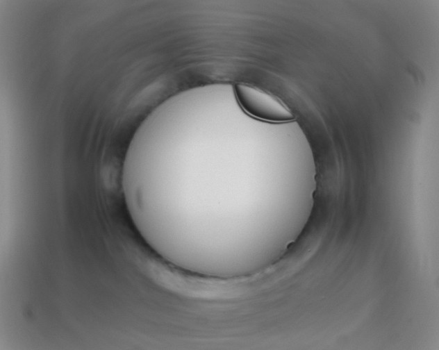 X0000113870044200910081735