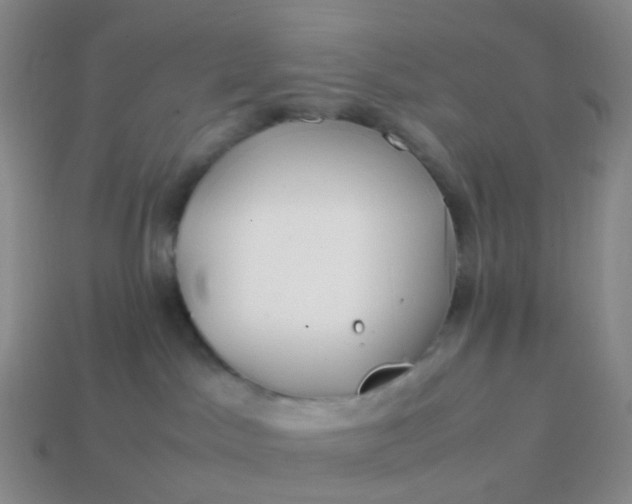 X0000113870045200910081735