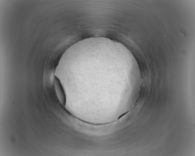 X0000113870047200910081735