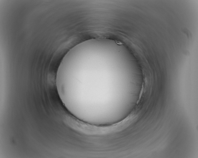 X0000113870048200910081735