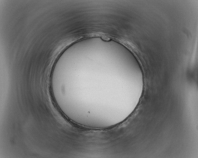 X0000113870049200910081735