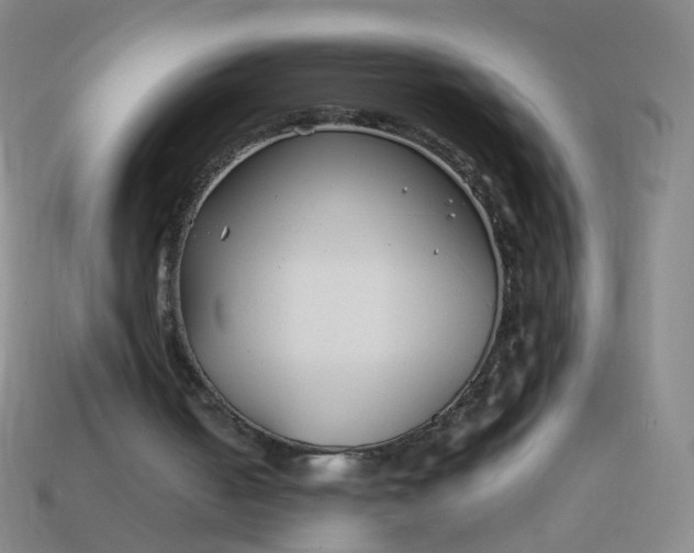 X0000113870050200910081735