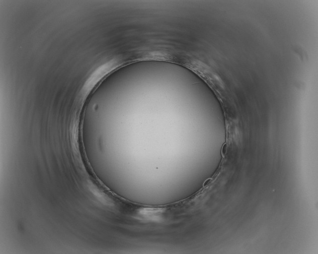 X0000113870051200910081735