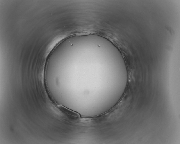 X0000113870052200910081735