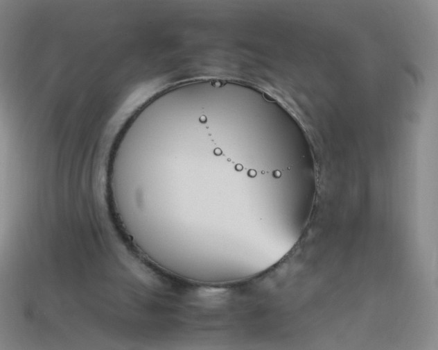 X0000113870055200910081735