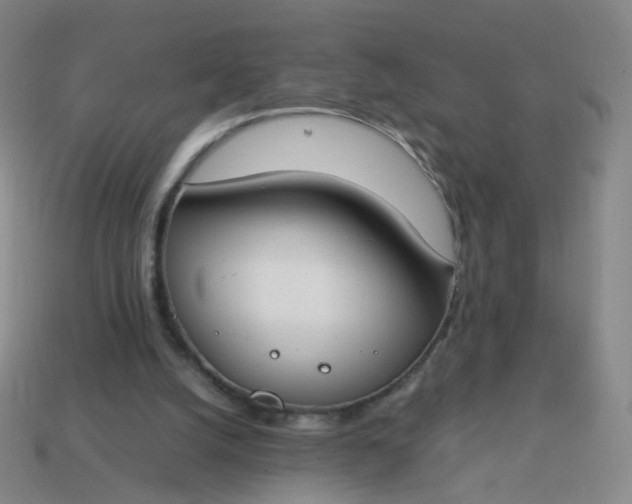 X0000113870056200910081735