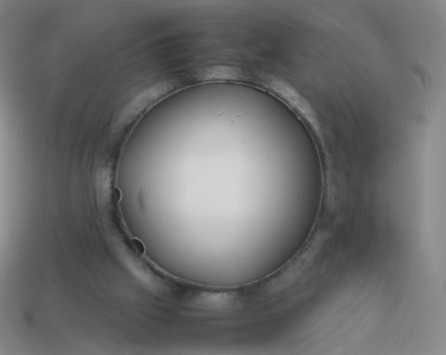 X0000113870057200910081735