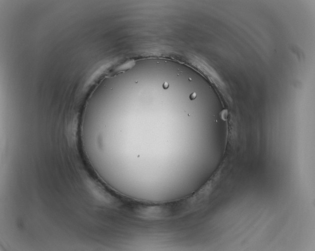 X0000113870058200910081735