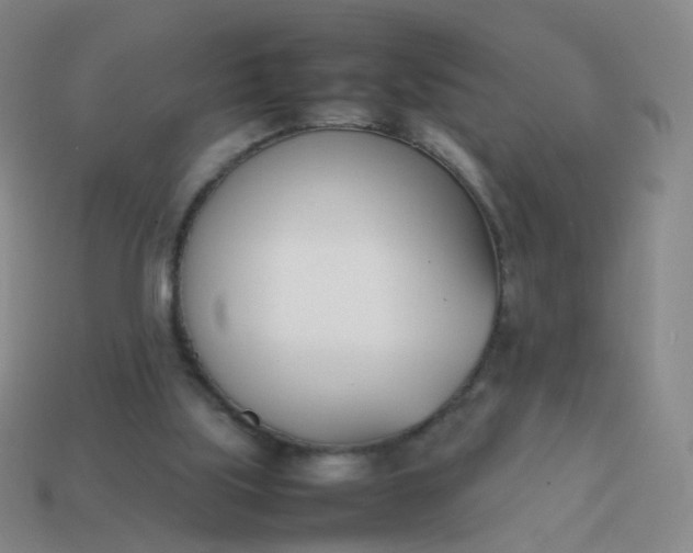 X0000113870059200910081735