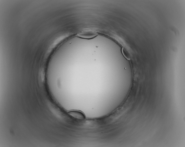 X0000113870060200910081735