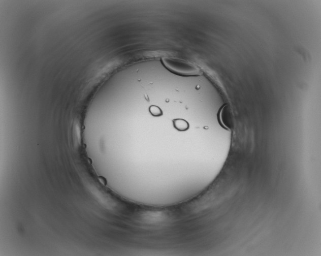 X0000113870061200910081735